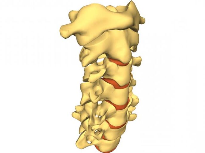 a columna vertebral é propensa a osteocondrose
